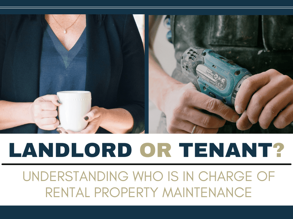 Unlocking the Code: Navigating Landlord and Tenant Responsibilities in New Zealand