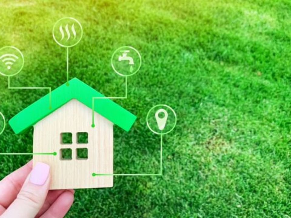 Transforming Your Home: Eco-Friendly and Sustainable Home Improvement Projects