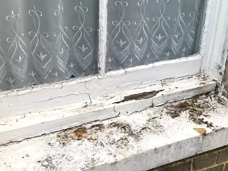 How to Open Painted-Shut Windows in New Zealand