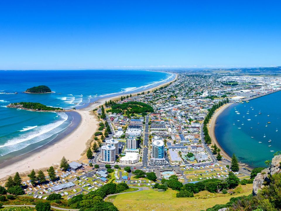 How to Choose the Best Handyman Service in Tauranga: Expert Tips