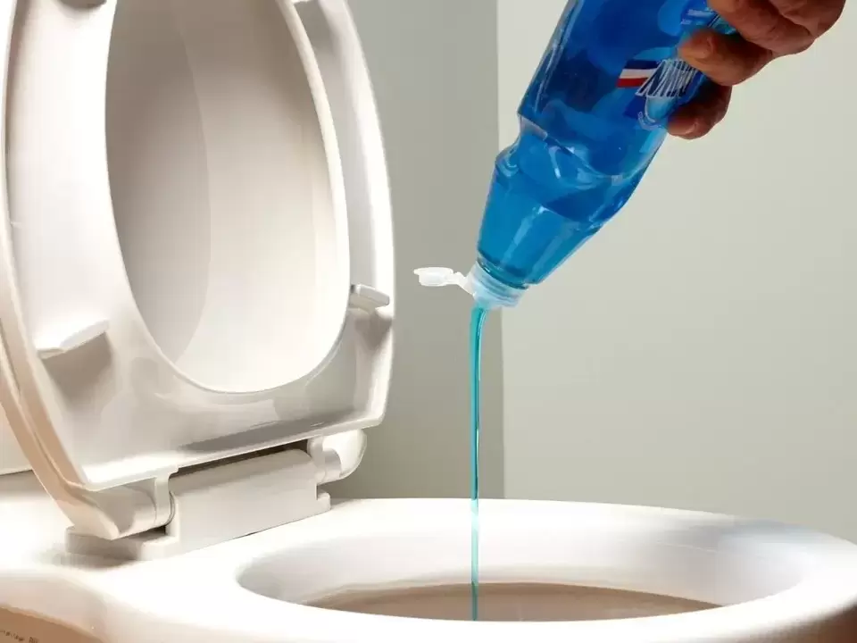 5 Ways You Can Unclog the Toilet Bowl Without a Plunger